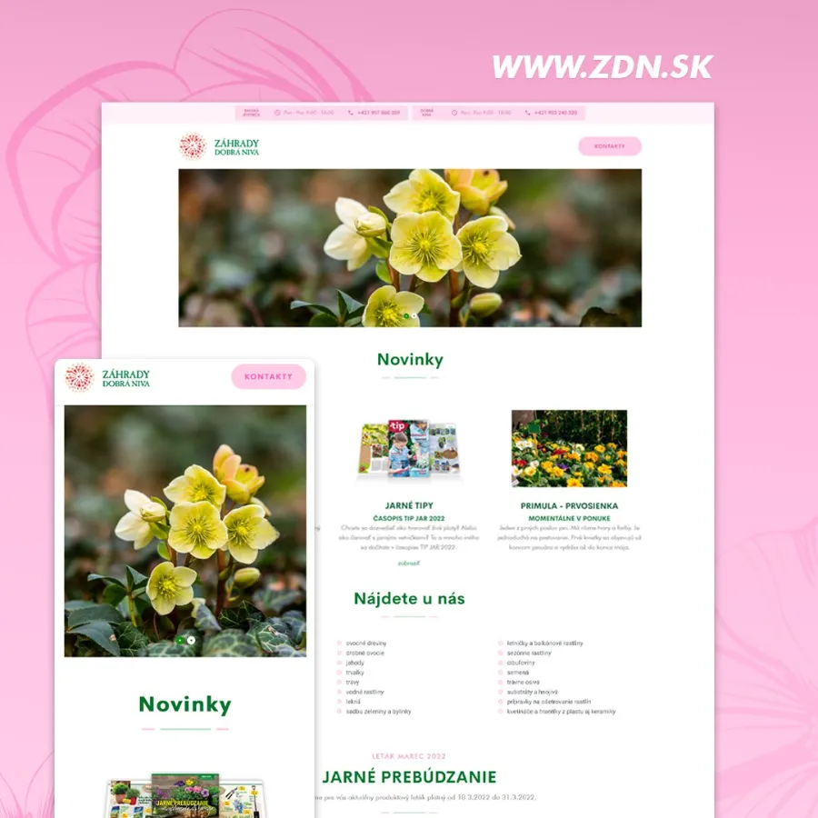 ZDN